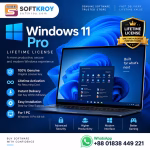 Windows 11 Pro