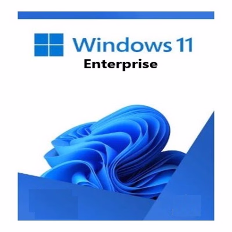 Windows 11 Enterprise