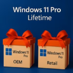 Windows 11 Pro